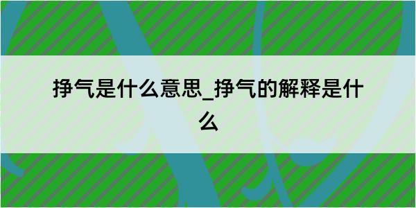 挣气是什么意思_挣气的解释是什么