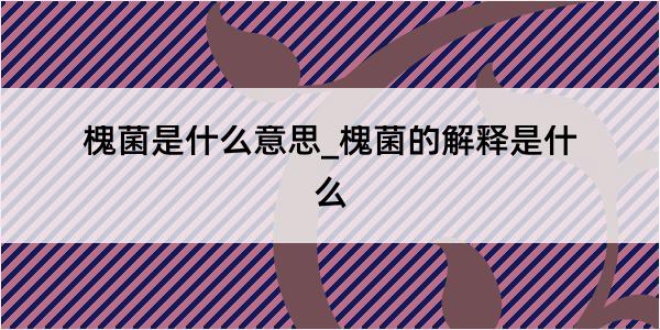 槐菌是什么意思_槐菌的解释是什么