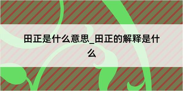 田正是什么意思_田正的解释是什么