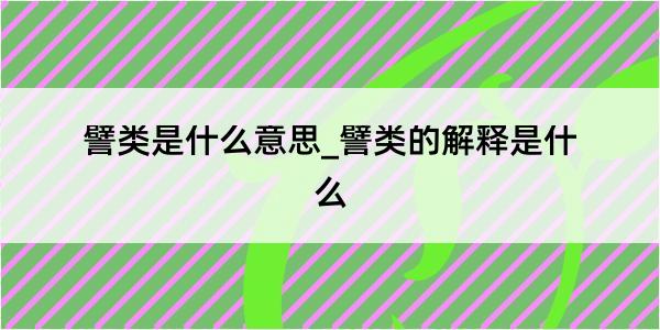 譬类是什么意思_譬类的解释是什么