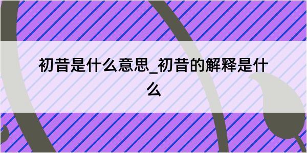 初昔是什么意思_初昔的解释是什么