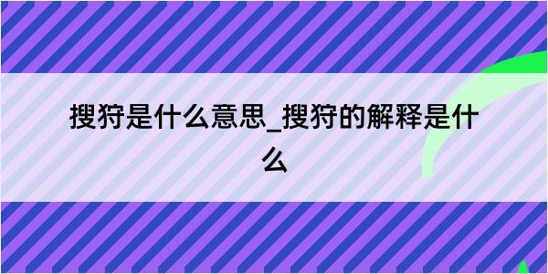 搜狩是什么意思_搜狩的解释是什么