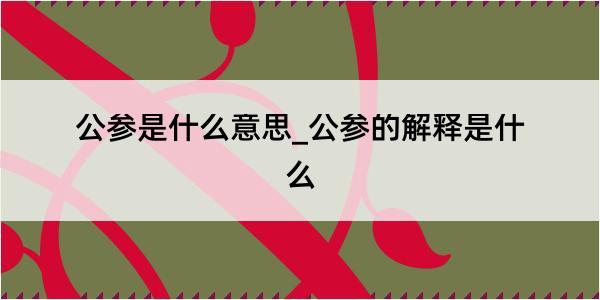 公参是什么意思_公参的解释是什么