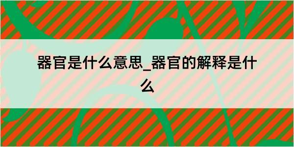 器官是什么意思_器官的解释是什么