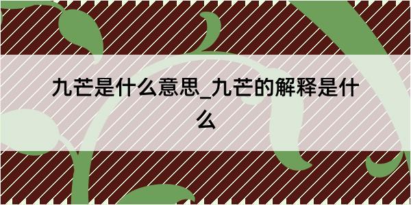 九芒是什么意思_九芒的解释是什么