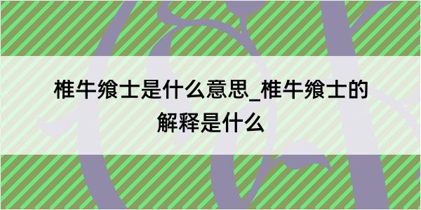 椎牛飨士是什么意思_椎牛飨士的解释是什么