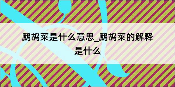 鹧鸪菜是什么意思_鹧鸪菜的解释是什么