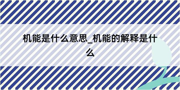 机能是什么意思_机能的解释是什么