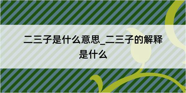 二三子是什么意思_二三子的解释是什么