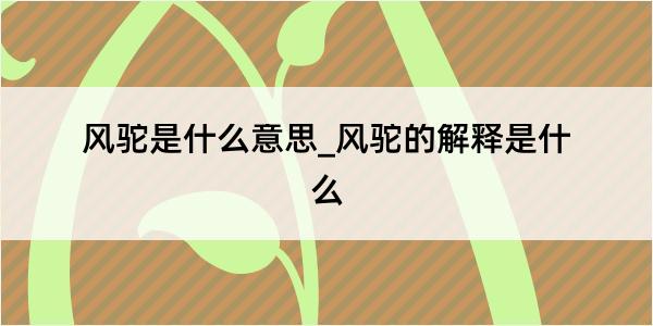 风驼是什么意思_风驼的解释是什么