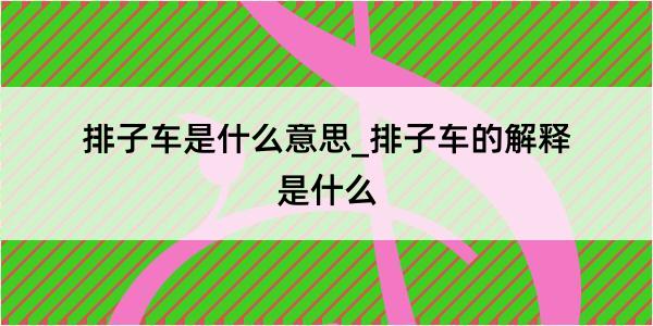 排子车是什么意思_排子车的解释是什么