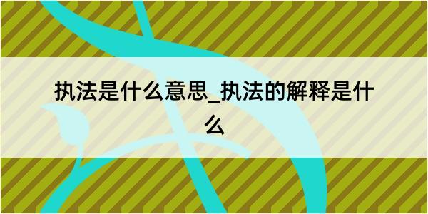 执法是什么意思_执法的解释是什么