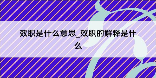 效职是什么意思_效职的解释是什么