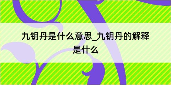 九钥丹是什么意思_九钥丹的解释是什么