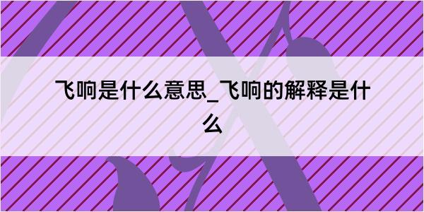 飞响是什么意思_飞响的解释是什么