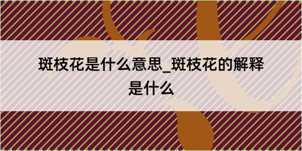 斑枝花是什么意思_斑枝花的解释是什么