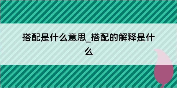 搭配是什么意思_搭配的解释是什么