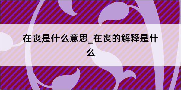 在丧是什么意思_在丧的解释是什么