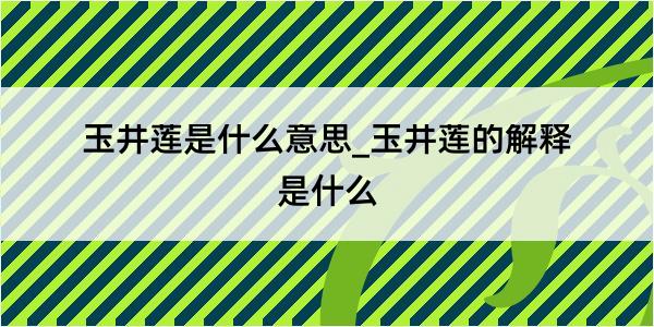 玉井莲是什么意思_玉井莲的解释是什么