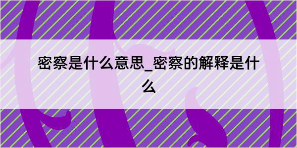 密察是什么意思_密察的解释是什么