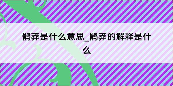 鹘莽是什么意思_鹘莽的解释是什么