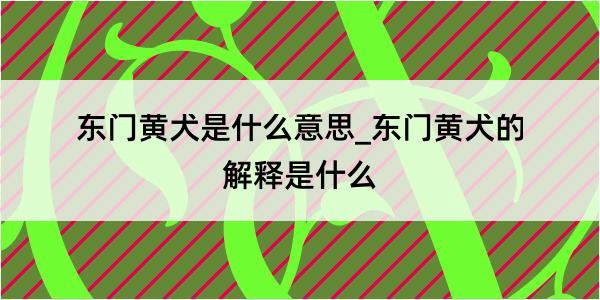 东门黄犬是什么意思_东门黄犬的解释是什么