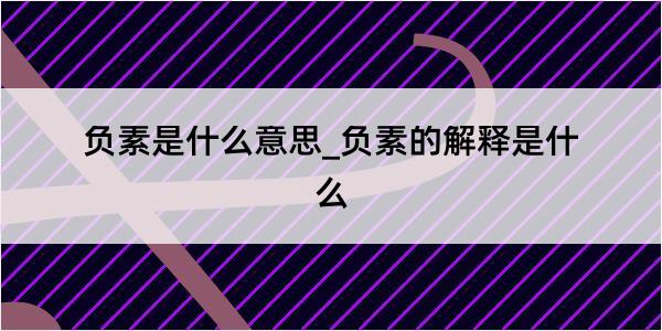 负素是什么意思_负素的解释是什么