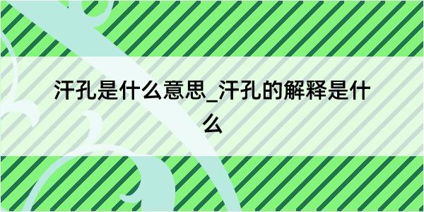 汗孔是什么意思_汗孔的解释是什么