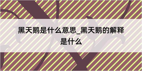 黑天鹅是什么意思_黑天鹅的解释是什么