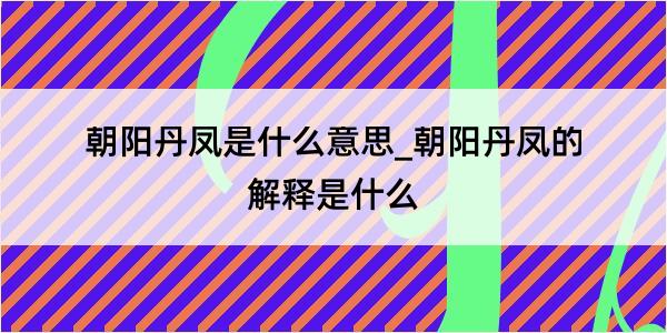 朝阳丹凤是什么意思_朝阳丹凤的解释是什么