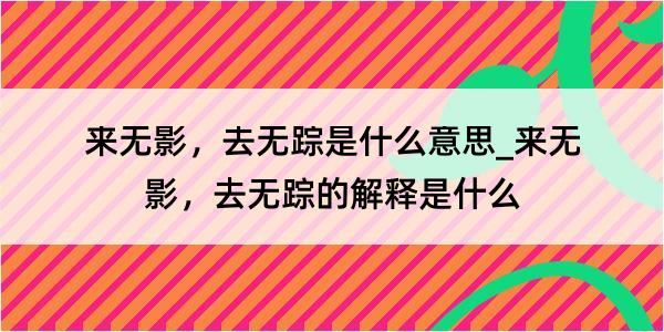 来无影，去无踪是什么意思_来无影，去无踪的解释是什么