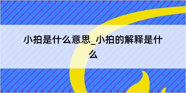 小拍是什么意思_小拍的解释是什么