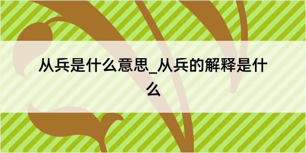 从兵是什么意思_从兵的解释是什么