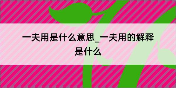 一夫用是什么意思_一夫用的解释是什么