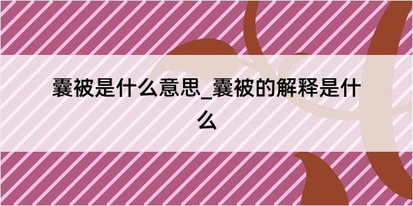 囊被是什么意思_囊被的解释是什么