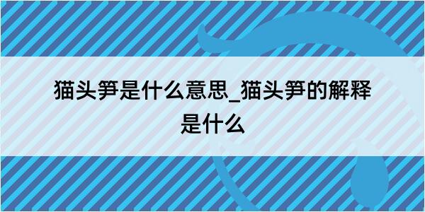 猫头笋是什么意思_猫头笋的解释是什么