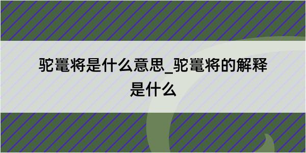 驼鼍将是什么意思_驼鼍将的解释是什么