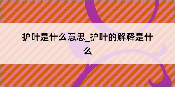 护叶是什么意思_护叶的解释是什么