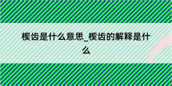 楔齿是什么意思_楔齿的解释是什么