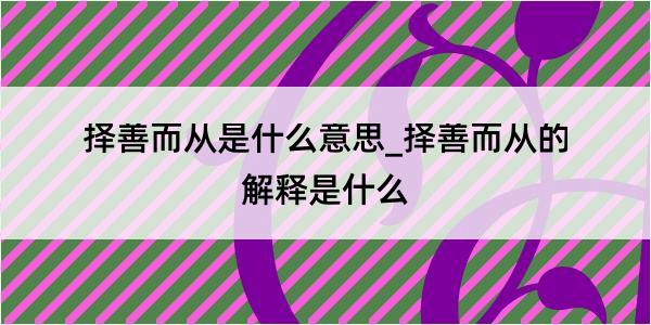 择善而从是什么意思_择善而从的解释是什么