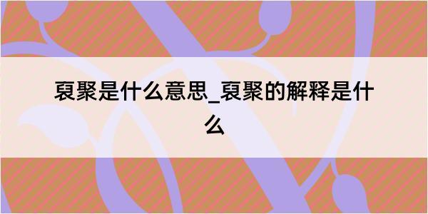 裒聚是什么意思_裒聚的解释是什么