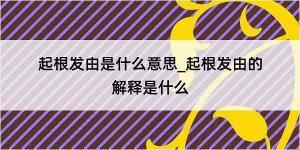 起根发由是什么意思_起根发由的解释是什么