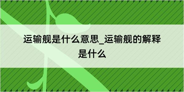 运输舰是什么意思_运输舰的解释是什么