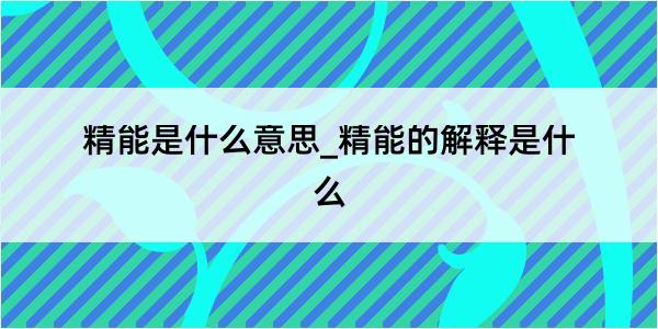 精能是什么意思_精能的解释是什么