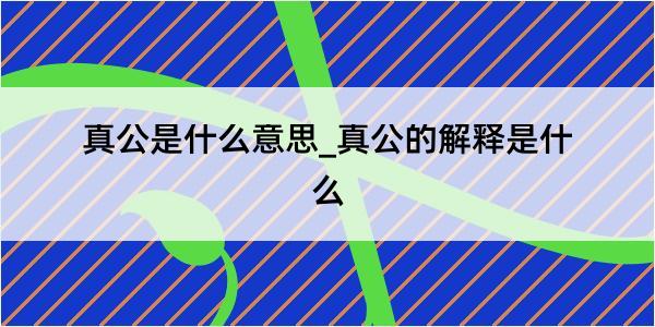 真公是什么意思_真公的解释是什么