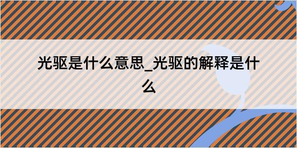 光驱是什么意思_光驱的解释是什么