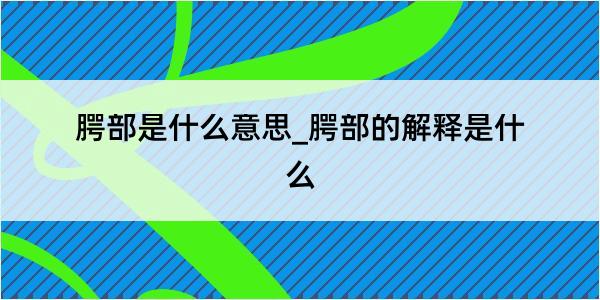 腭部是什么意思_腭部的解释是什么