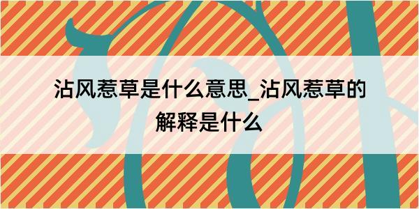 沾风惹草是什么意思_沾风惹草的解释是什么