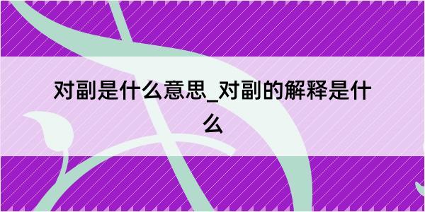 对副是什么意思_对副的解释是什么