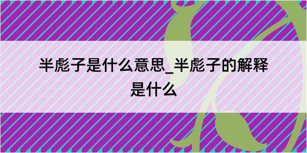 半彪子是什么意思_半彪子的解释是什么